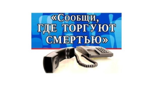 Сообщи, где торгуют смертью 1